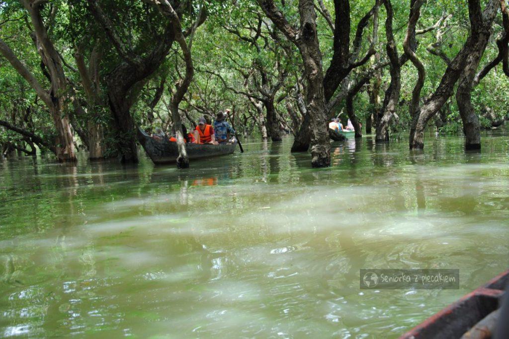 Pływamy między koronami drzew w Kambodży