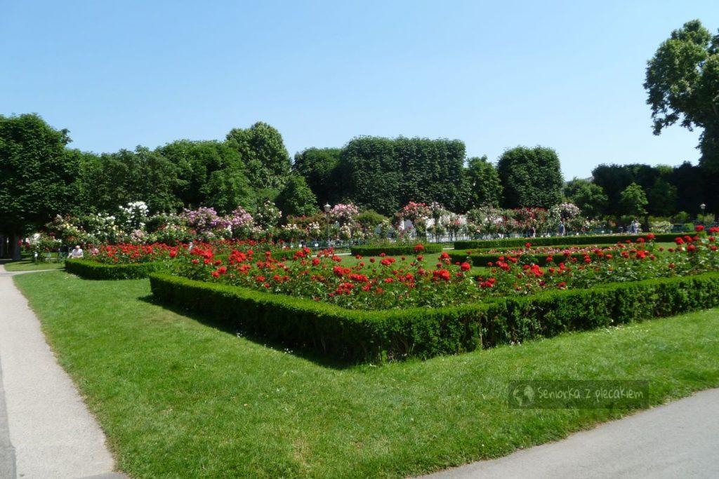 Park Volksgarten w Wiedniu w Austrii