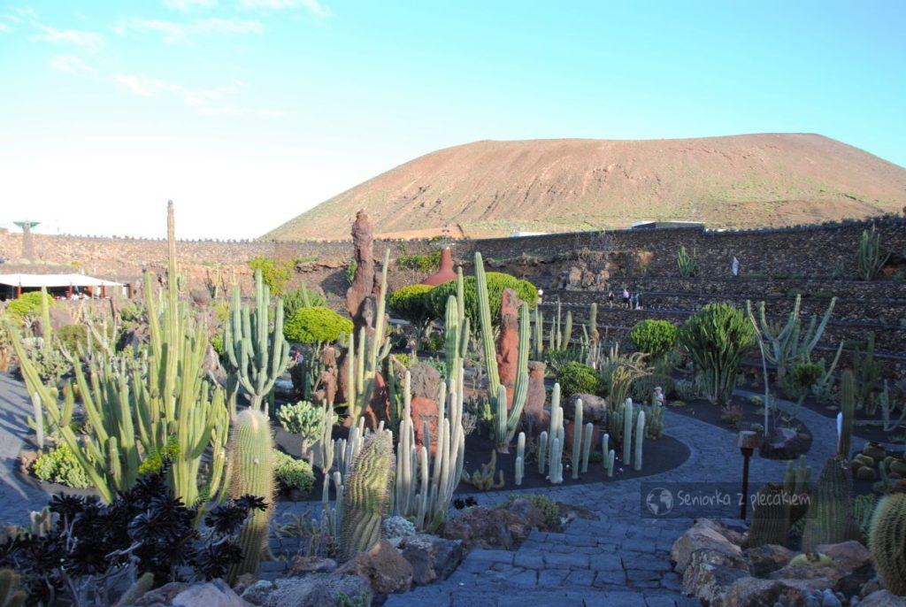 Ogród Kaktusów na Lanzarote