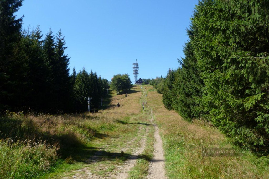 Szlak na Javorovy w Czechach