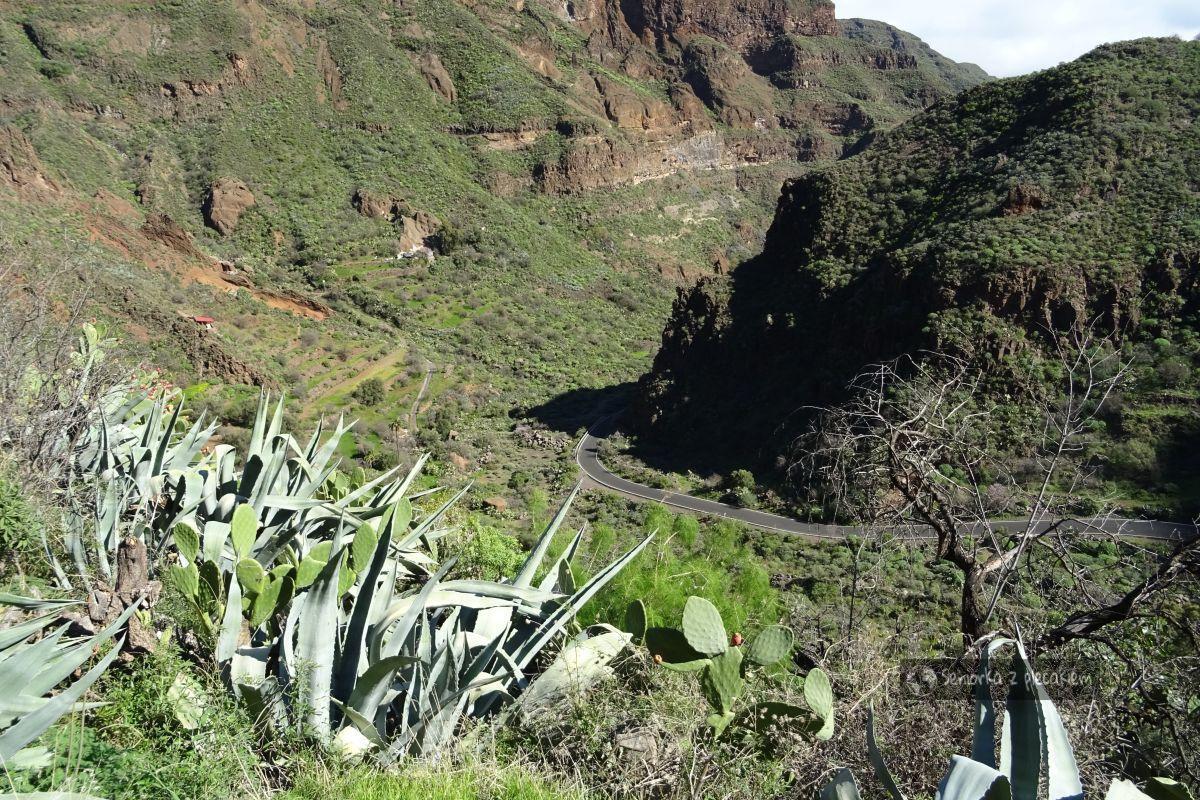 Gran Canaria – 8 pomysłów na wycieczki