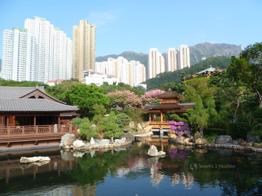 Hong Kong: ogród Nan Lian i klasztor Chi Lin Nunnery