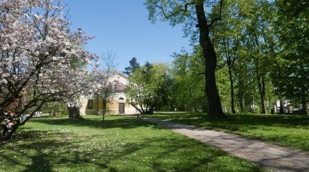 Spacer po zamkowym parku w Å�aÅ„cucie