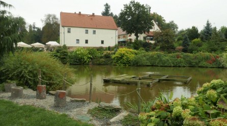 Ogród Botaniczny w Wojsławicach w pochmurny dzień