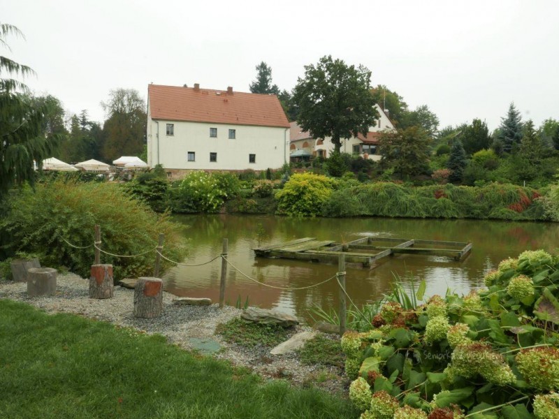 Ogród Botaniczny w Wojsławicach w pochmurny dzień