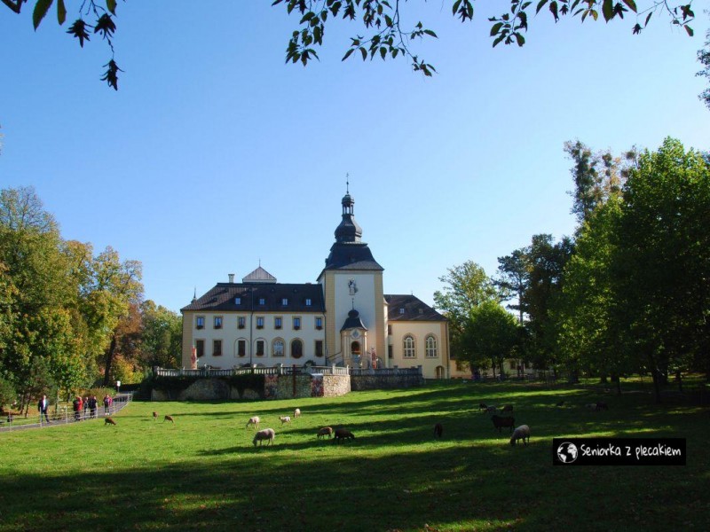 Pałac i park w Kamieniu Śląskim