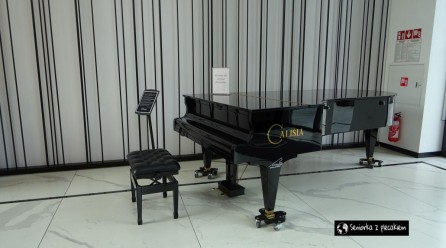 Kalisz – miasto słynące z produkcji fortepianów