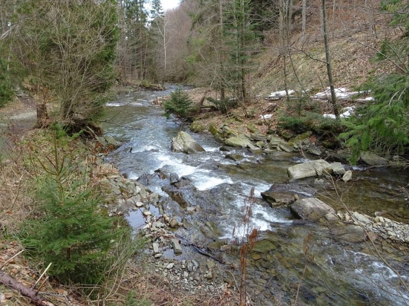 Dolina Zimnika. Ścieżka przyrodnicza w Beskidzie Śląskim