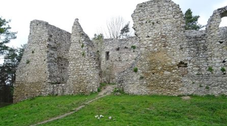 Zamek w Bydlinie i okopy